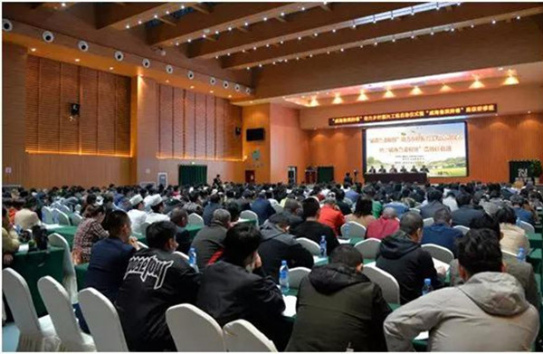 “威海鲁菜师傅”助力乡村振兴工程开启我市“舌尖”上的乡村振兴之路